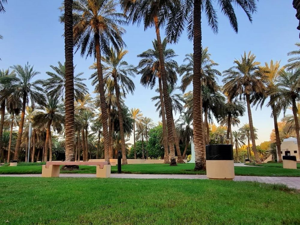 Suwaidi Park Full Guide To The New Riyadh Season Zone