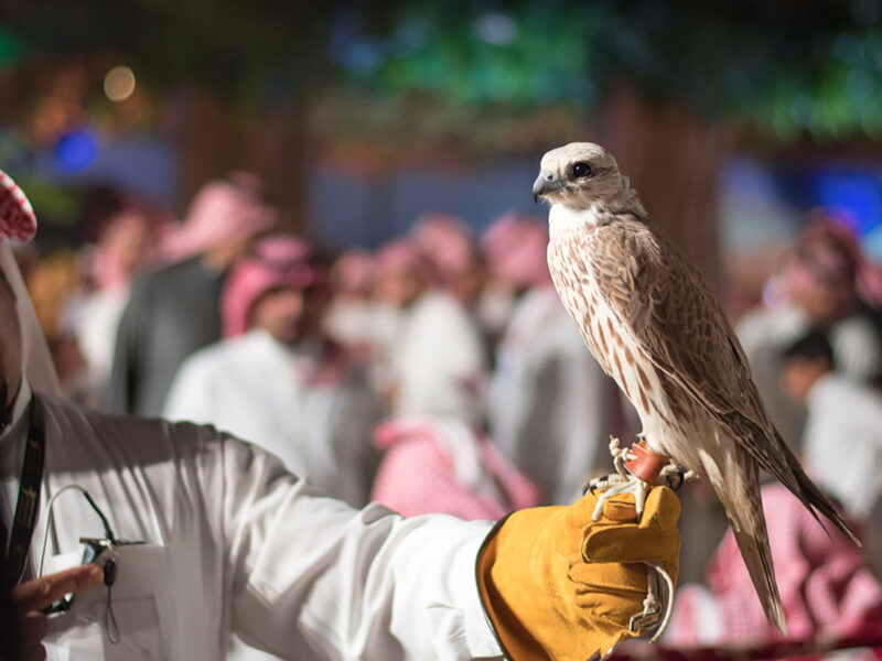 Saudi International Falcon Hunting and Exhibition