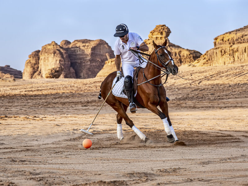 alula desert polo match