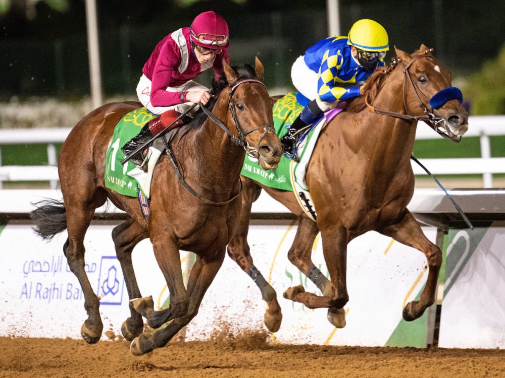 The Saudi Cup 2024 revealed exciting new Riyadh horserace dates