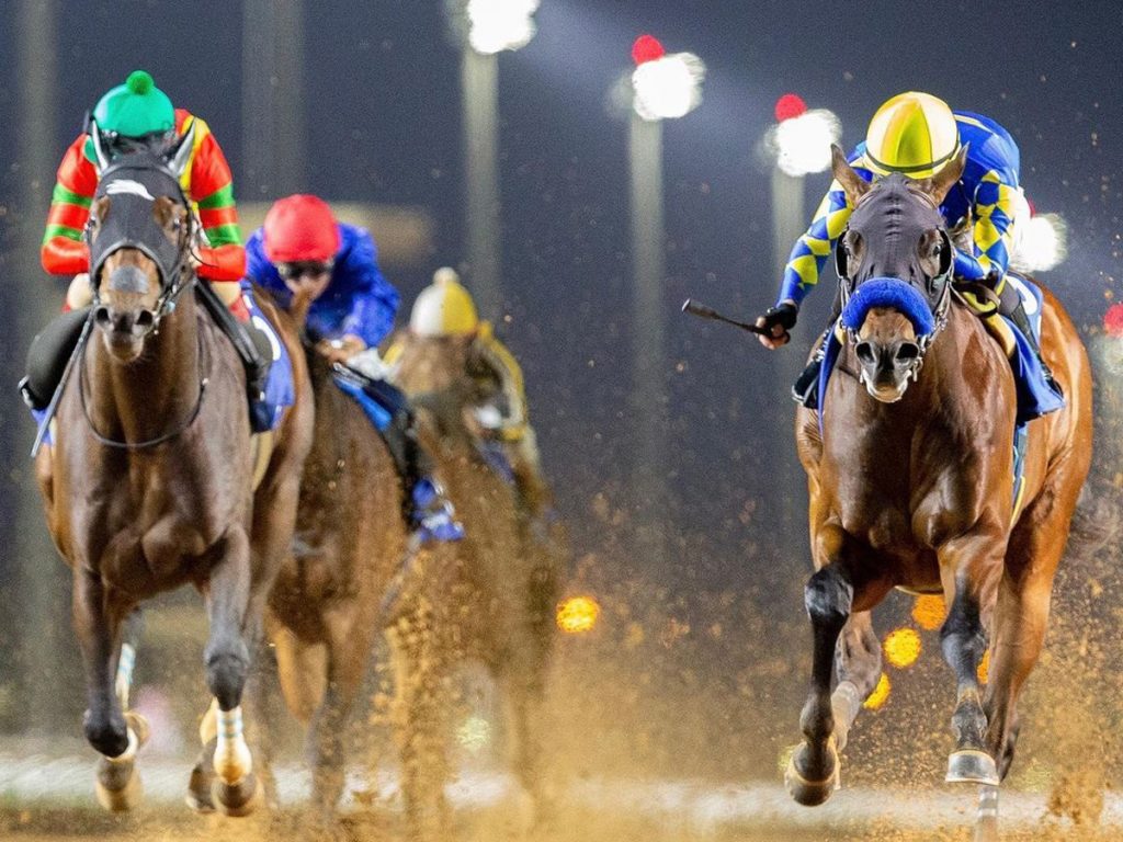 The Saudi Cup 2023: Best New Guide To Horse Race And Tickets